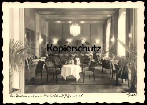 ALTE POSTKARTE BAD PYRMONT DIE PALMENBAR IM STAATSBAD 1949 BAR PALMEN SESSEL Ansichtskarte AK postcard cpa