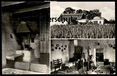 ALTE POSTKARTE BALATONFÜRED PLATTENSEE BARICSKAI CSÁRDA Harfe harp harpe Harfenspieler Ansichtskarte AK postcard cpa