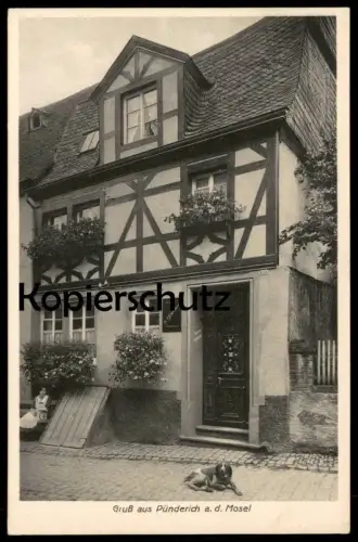 ALTE POSTKARTE GRUSS AUS PÜNDERICH BEI ZELL MOSEL Landkreis Cochem mit Hund dog chien Schneiders Wein Ansichtskarte cpa