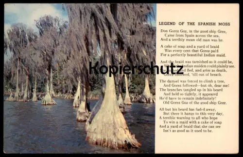 POSTKARTE THE LEGEND OF THE SPANISH MOSS USA america plant Plfanze Louisianamoos Tillandsia usneoides Moos cpa postcard