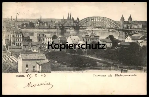ALTE POSTKARTE BONN PANORAMA MIT RHEINPROMENADE 1903 Ansichtskarte AK postcard cpa