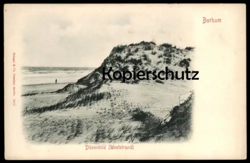 ALTE POSTKARTE BORKUM DÜNENBILD WESTSTRAND Strand beach plage Insel cpa postcard AK Ansichtskarte