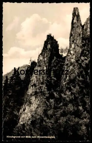 ÄLTERE POSTKARTE HIRSCHGRUND MIT BLICK ZUM HEXENTANZPLATZ Bodetal Thale Harz Ansichtskarte cpa postcard AK