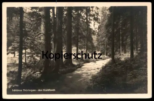 ÄLTERE POSTKARTE SCHÖNES THÜRINGEN AM WALDBACH Bach Thuringia Thuringe Wald tree forest arbre Ansichtskarte postcard cpa
