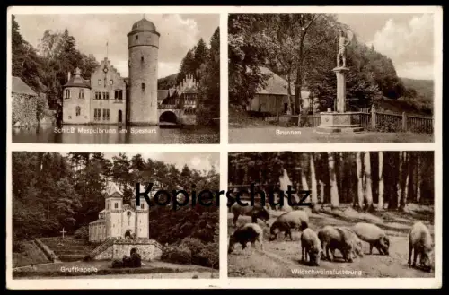 ALTE POSTKARTE SCHLOSS MESPELBRUNN SPESSART BRUNNEN GRUFTKAPELLE WILDSCHWEINFÜTTERUNG castle chateau cpa postcard AK