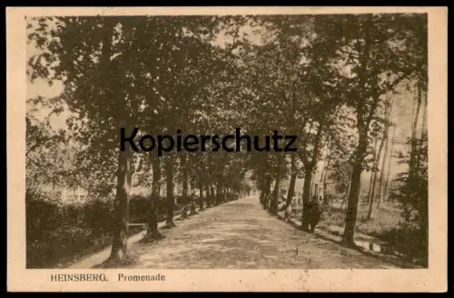 ALTE POSTKARTE HEINSBERG PROMENADE Allee alley Baum arbre tree cpa postcard Ansichtskarte AK belgische Militärpost