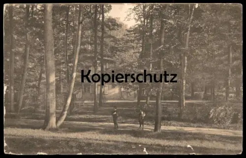 ALTE POSTKARTE STETTIN MOTIV AUS DEN ANLAGEN Szczecin Pommern cpa postcard AK Ansichtskarte