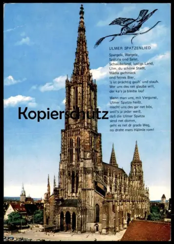 ÄLTERE POSTKARTE ULM AN DER DONAU ULMER MÜNSTER & SPATZENLIED Lied song chanson cpa postcard AK Ansichtskarte