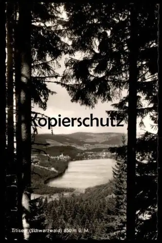 ÄLTERE POSTKARTE TITISEE-NEUSTADT 850m ü. M. Verlag Karl Alber Schwarzwald Foret-Noire black forest cpa postcard