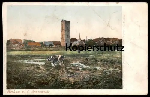 ALTE POSTKARTE BORKUM VON DER INNENWEIDE LEUCHTTURM Weide Wiese Kuh vache cow lighthouse phare Ansichtskarte postcard