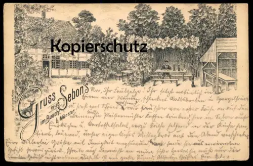 ALTE LITHO POSTKARTE GRUSS AUS SEBON'S BUSCH BEI MÜNSTER 1896 Westfalen Muenster Reh chevreuil Gremmendorf Vorläufer