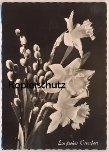 ÄLTERE POSTKARTE BLUMEN NARZISSEN EIN FROHES OSTERFEST Narcisse Daff Daffodil Crocus Holland Flowers Fleurs cpa postcard