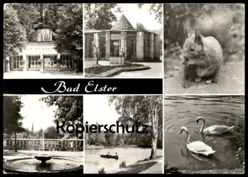 ÄLTERE POSTKARTE BAD ELSTER QUELLE MORITZQUELLE EICHHÖRNCHEN Squirrel écureuil Schwan Schwäne Swan Cygne cpa postcard