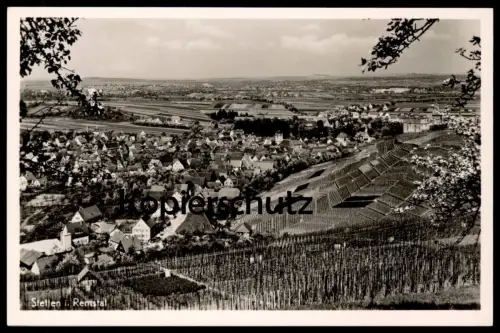 ALTE POSTKARTE STETTEN IM REMSTAL TOTAL WEINLAGE WEIN wine vine vin grape-vine vigne Weinrebe cpa postcard Ansichtskarte