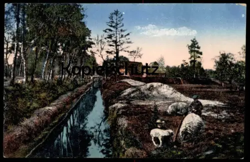 ALTE POSTKARTE AUS MOOR UND HEIDE LÜNEBURGER HEIDE Beruf Hirte Schäfer sheepherder berger sheep Schaf Schafe postcard AK