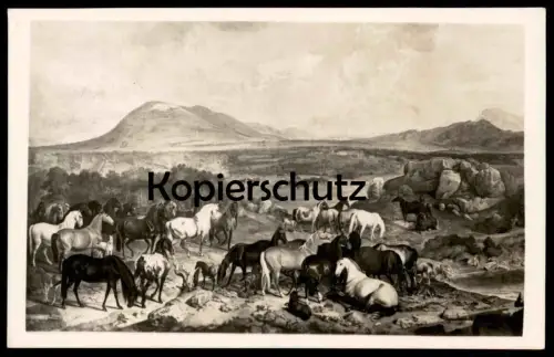 ALTE POSTKARTE GESTÜT LIPPIZA NACH EINEM GEMÄLDE J. G. HAMILTON Lipizza Lipica Lipizzaner Lipizzan horse horses cheval