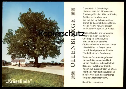 POSTKARTE KRÜSELINDE OLLENBIÄRGE ALTENBERGE LINDE BAUM TREE ARBRE Tilleul Linden Plattdeutsch Dialekt dialect postcard