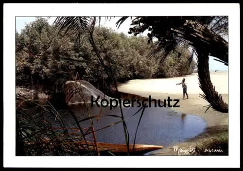 POSTKARTE RÉPUBLIQUE DU SÉNÉGAL PECHE À L'ÉPERVIER DANS LES BOLONGS MAURICE ASCANI Peche Fischer pecheur fishing fisher