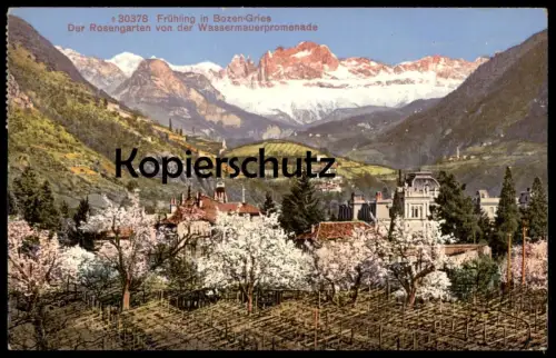 ALTE POSTKARTE FRÜHLING IN BOZEN-GRIES DER ROSENGARTEN VON WASSERMAUERPROMENADE Bolzano Alto Adige Val Gardena Dolomiti