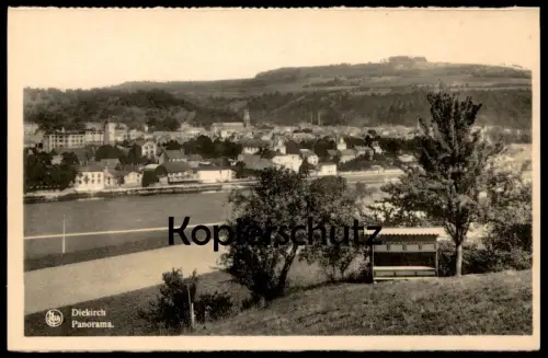 ALTE POSTKARTE DIEKIRCH BIENENSTÖCKE Biene Bienen Ruche Beehive Bee apiculture apiary beekeeping Luxemburg Luxembourg AK