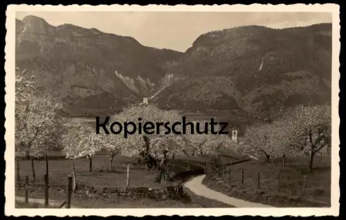 ALTE POSTKARTE APPIANO PRESSO BOLZANO EPPAN BOZEN Alto Adige Val Gardena Dolomiti Italia postcard Kirsche cherry tree