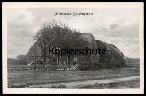 ALTE POSTKARTE FRIESISCHES BAUERNGEHÖFT BAUERNHAUS FRIESLAND Haus traditional house farm Bauernhof ferme Ansichtskarte