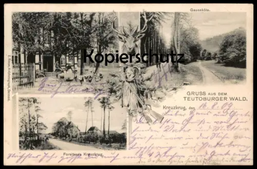 ALTE POSTKARTE FORSTHAUS KREUZKRUG GAUSEKÖTE GRUSS AUS DEM TEUTOBURGER WALD Hirsch Horn-Bad Meinberg Schlangen Detmold