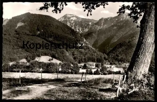 ÄLTERE POSTKARTE STAUDACH EGERNDACH PANORAMA BEI TRAUNSTEIN Eiche Baum oak tree chene arbre cpa postcard Ansichtskarte