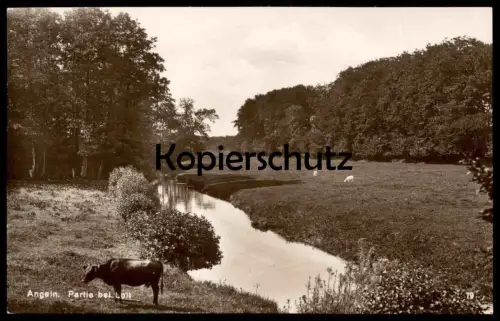 ALTE POSTKARTE ANGELN PARTIE BEI LOIT PANORAMA Kuh cow vache Ziegen Ziege goats goat Schleswig-Holstein cpa postcard