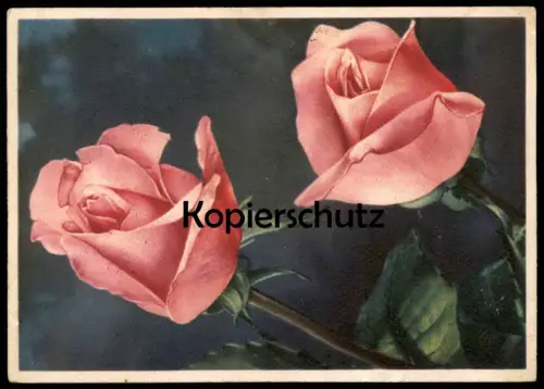 ALTE POSTKARTE ROSEN DEIN WORT IST MEINES FUSSES LEUCHTE Blume Flower Fleur Flowers Rose Stempel Lieberhausen 1944 AK