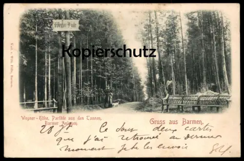 ALTE POSTKARTE GRUSS AUS BARMEN WEGNER-HÖHE 1900 PARTHIE AUS DEN TANNEN BARMER ANLAGEN WUPPERTAL cpa postcard AK