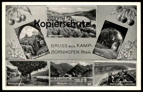 ALTE POSTKARTE GRUSS AUS KAMP-BORNHOFEN BLÜTENWUNDER STERRENBERG U. LIEBENSTEIN Kirschen Kirsche cherry cerise Loreley