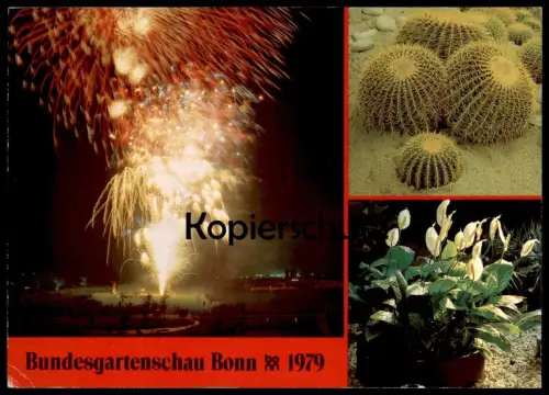 ÄLTERE POSTKARTE BONN BUNDESGARTENSCHAU 1979 FEUERWERK KATKUS KAKTEEN FIREWORKS Cactus Cactier Feu d'artifice postcard