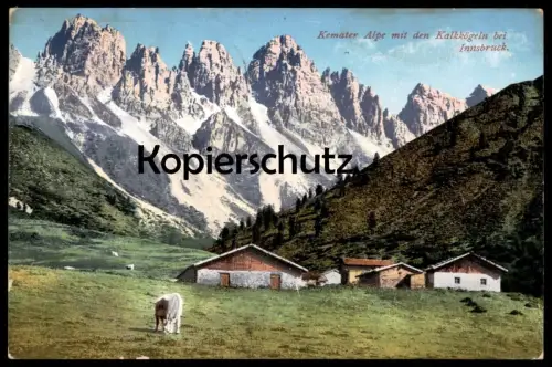 ALTE POSTKARTE KEMATER ALPE MIT DEN KALKKÖGELN BEI INNSBRUCK 1911 Alm alp Kuh cow vache Ansichtskarte AK postcard cpa