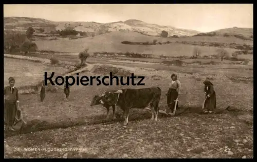 ALTE POSTKARTE WOMEN PLOUGHING CYPRUS RAPHAEL TUCK'S POSTCARD farmer Bauer Kühe Cows Vaches Chypre Zypern cultivateur AK