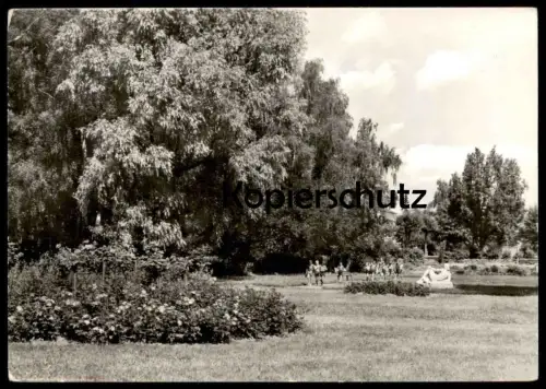 ÄLTERE POSTKARTE KYRITZ ROSENPARK BRANDENBURG Garten garden jardin Kinder enfants children postcard cpa AK Ansichtskarte