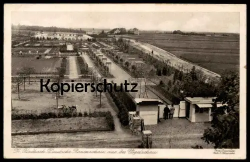 ALTE POSTKARTE DEUTSCHE ROSENSCHAU MÖNCHENGLADBACH AUS VOGELSCHAU Rose Rosen flower Blumen Blume Schau motorcycle moto