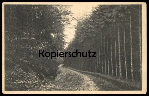 ALTE POSTKARTE KAISERSLAUTERN PARTIE IM BIERTÄLCHEN MANN 1908 man homme AK Ansichtskarte cpa postcard