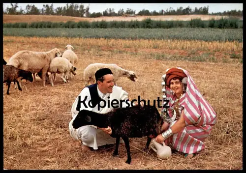 ÄLTERE POSTKARTE LIBYA VEDUTA CAMPESTRE RURAL VIEW VUE CHAMPETRE TRACHT traditional costume folklorique libye sheep cpa