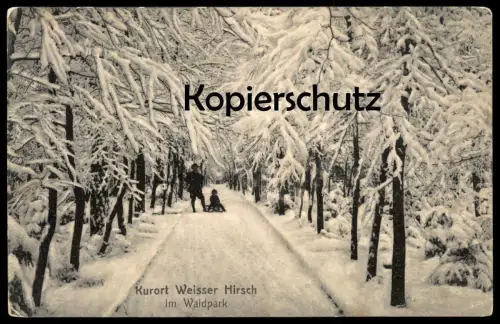 ALTE POSTKARTE KURORT WEISSER HIRSCH IM WALDPARK WINTER DRESDEN Schlitten luge sleigh Kind enfant child hiver Schnee AK