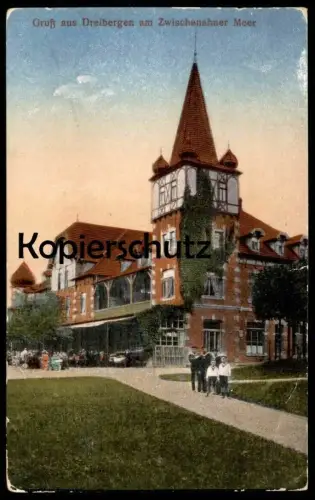 ALTE POSTKARTE GRUSS AUS DREIBERGEN 1919 AM ZWISCHENAHNER MEER Bad Zwischenahn Niedersachsen enfants pupil children