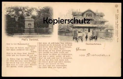 ALTE POSTKARTE GRUSS VOM DAMBACHSHAUS THALE DAMBACHHAUS REHE HIRSCH Reh Hirsche Roe fallow deer daim chevreuil cerf cpa