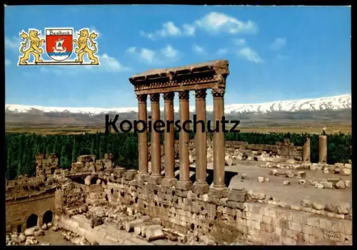 ÄLTERE POSTKARTE LIBANON BAALBECK SÄULEN DES JUPITERTEMPELS PILLARS OF JUPITER TEMPLE Lebanon Liban postcard cpa AK