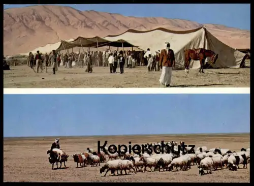 ÄLTERE POSTKARTE LE DÉSERT LA TENTE EN VOIL DE CHÈVRE ET LE RETOUR DES BERGERS tent sheep Schaf goat hain Syrien Syria