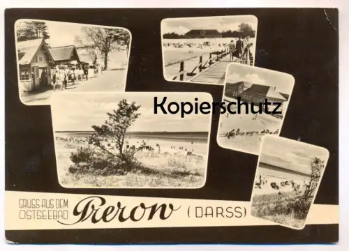 ÄLTERE POSTKARTE GRUSS AUS DEM OSTSEEBAD PREROW DARSS Ostsee postcard Ansichtskarte cpa AK