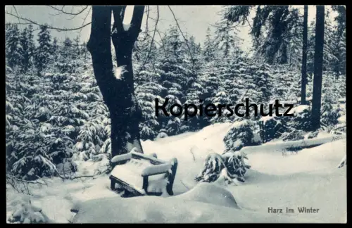 ALTE POSTKARTE HARZ IM WINTER 1917 BANK BAUM SCHNEEBEDECKT tree Winter Schnee snow hires Ansichtskarte AK cpa postcard