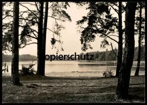 ÄLTERE POSTKARTE STOLZENHAGEN WANDLITZ SEEPROMENADE MARK SEE cpa postcard Ak Ansichtskarte