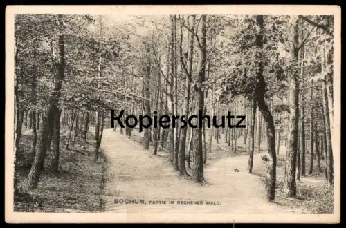 ALTE POSTKARTE BOCHUM PARTIE IM RECHENER WALD Wanderwege Bäume Ansichtskarte AK postcard cpa