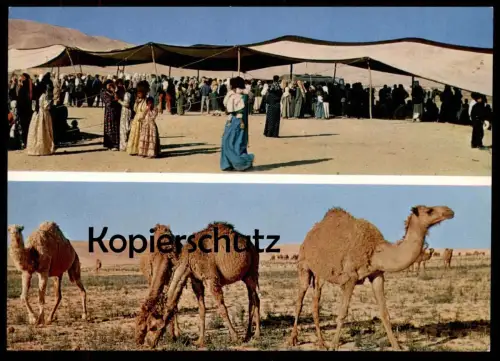 ÄLTERE POSTKARTE LE DÉSERT LES PRÉPARATIFS DE LA NOCE ET LES CHAMEAUX BEFORE A WEDDING CAMEL Hochzeit Syrien Syria cpa