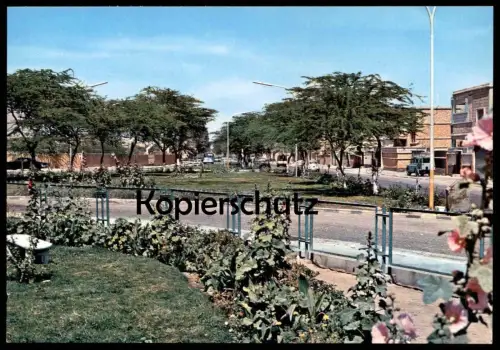 ÄLTERE POSTKARTE DAMMAM PUBLIC GARDENS DAMMAN Park Parc Saudi Arabia Saudi-Arabien postcard Ansichtskarte AK cpa